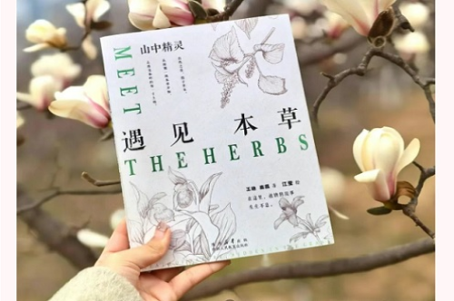 春分解锁超值福利 | 携《山中精灵：遇见本草》探索草木私语！